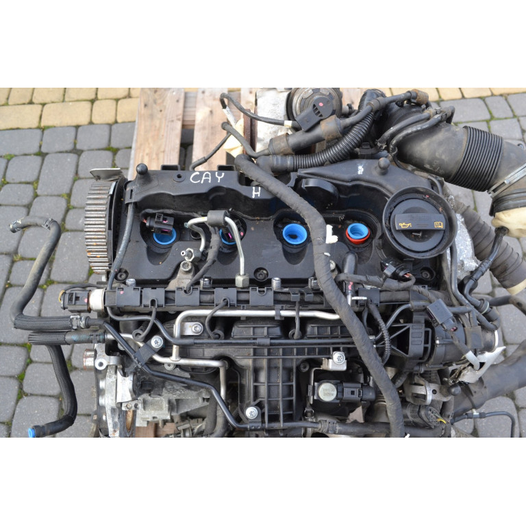 Двигун Audi A3 1.6 TDI CAYC CAYB CAY