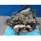 Двигун Audi TT 1.8 T AUM
