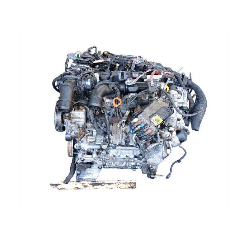 Двигатель Citroen BERLINGO 1.6 HDi 75 9HT (DV6BTED4) 9HT DV6BTED4