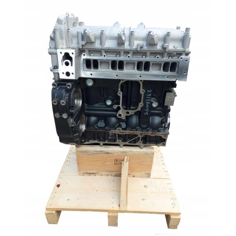 Двигун Fiat DUCATO 160 Multijet 3,0 D F1CE3481M