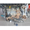 Двигун Fiat LINEA 1.4 350 A1.000 350 A1 000