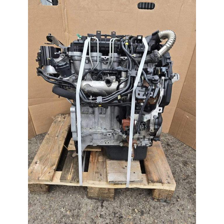 Двигун Ford C-MAX 1.6 TDCi G8DD