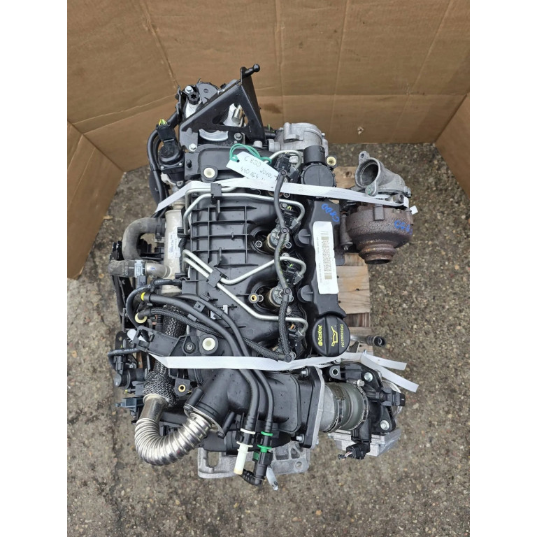Двигун Ford C-MAX 1.6 TDCi G8DD