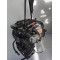 Двигатель Ford FOCUS C-MAX 1.6 TDCi HHDB HHDA