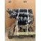 Двигун Honda CR-V IV 2.0 R20A9