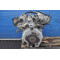 Двигун Hyundai TRAJET 2.7 V6 G6BA-G