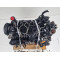 Двигун Volvo S60 II D3 D 5204 T7 D5204T7