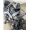 Двигатель  Volkswagen  BORA 1.9 TDI ASV