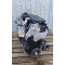 Двигун Nissan QASHQAI 1.6 dCi R9M