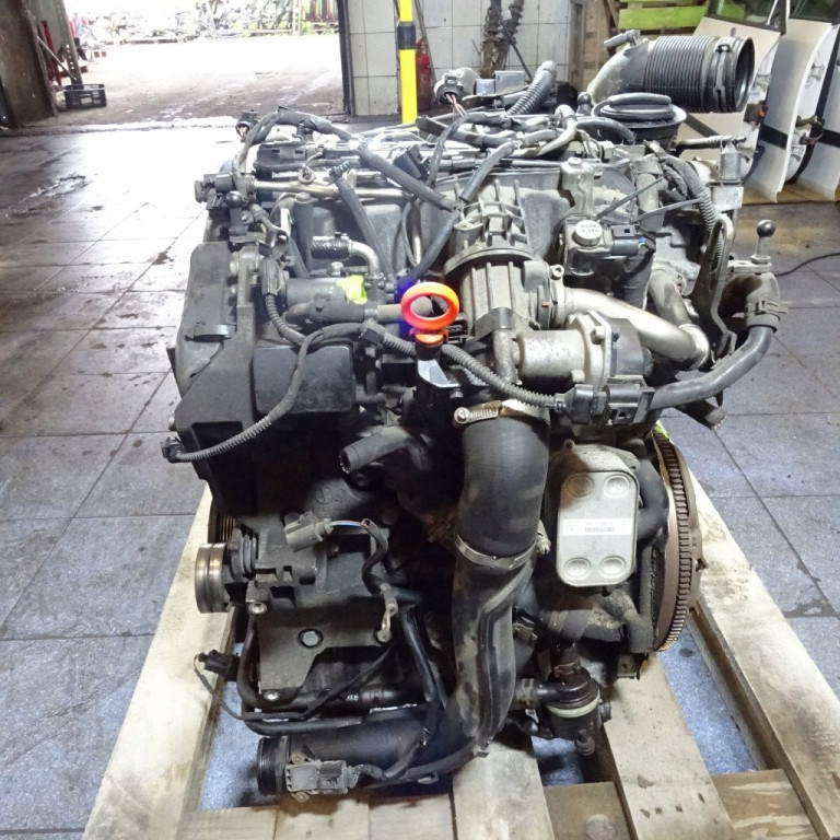 Двигун Volkswagen CADDY III 1.6 TDI CAYD