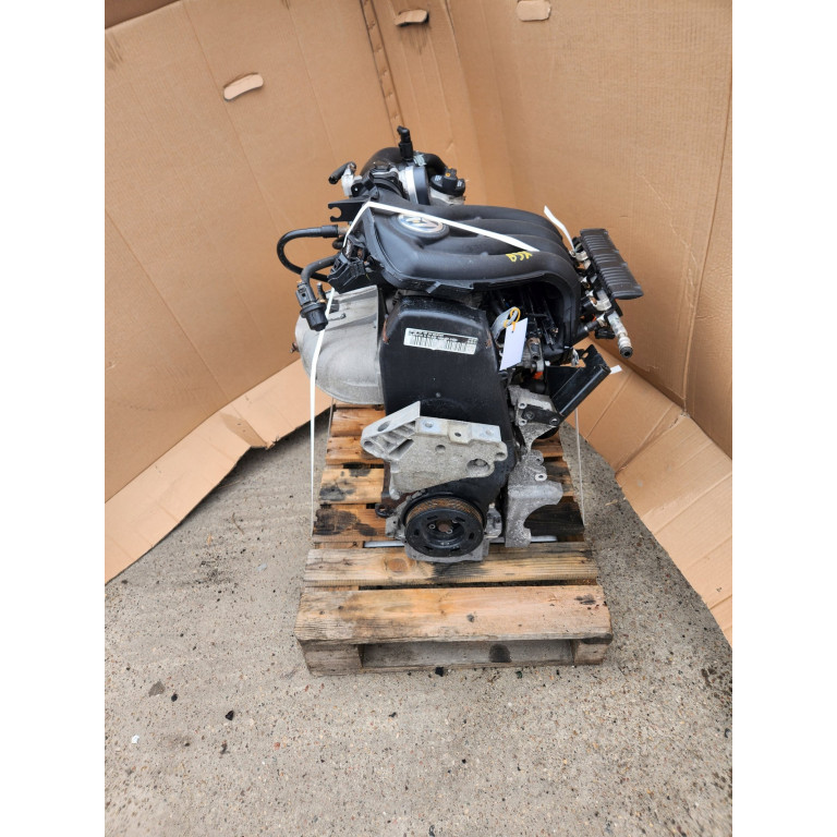 Двигун Volkswagen CADDY III 2.0 EcoFuel BSX