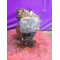 Двигун Renault MEGANE III 1.6 16V (DZ0H) K4M P 848