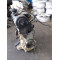 Двигатель Seat CORDOBA 1.4 TDI BNV