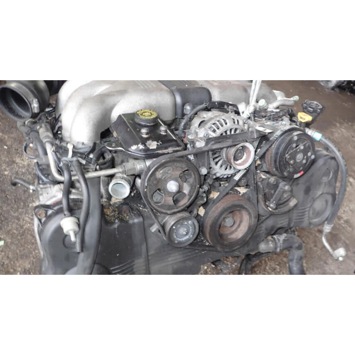 Двигун Subaru SVX (CX) 3.3 i 24V 4WD (CXW) EG33 DOHC в Україні
