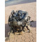 Двигатель Seat TOLEDO III 2.0 TDI AZV