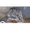 Двигатель BMW 5 540 i V8 M60 B40 (408S1) M60B40 (408S1)