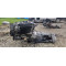 Двигун Mercedes - Benz GL-CLASS GL 350 BlueTec 4-matic (166.823, 166.824) OM 642.826 OM 642 826