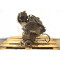 Двигатель Daewoo LACETTI  1.6  F16D3