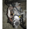 Двигун Opel KADETT E 1.3 KAT i C N 13 C13N