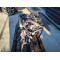 Двигатель Seat EXEO 2.0 TDI CJCA CJC CJCB