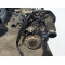 Двигун Renault MEGANE II 2.0 16V Turbo F4R 776 F4R776