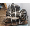 Двигатель Land Rover RANGE ROVER II 3.9 4x4 42 D  42D