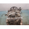 Двигатель Land Rover RANGE ROVER II 3.9 4x4 42 D  42D