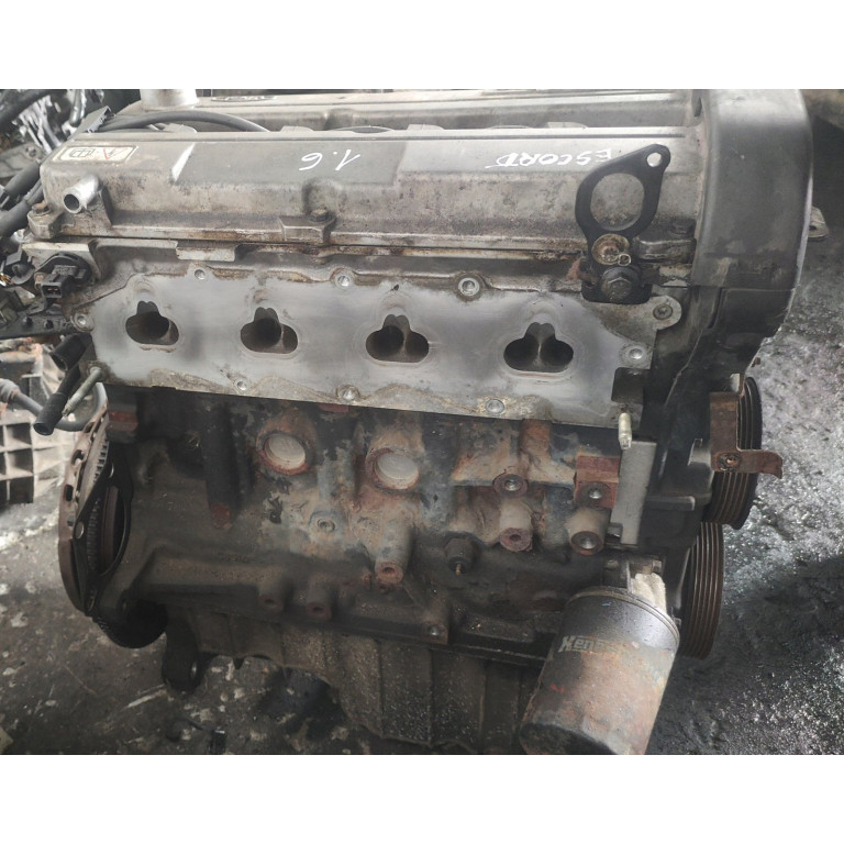 Двигун Ford ESCORT VI 1.6 i 16V L1H