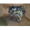Двигатель BMW X5 4.4 i N62 B44 N62B44
